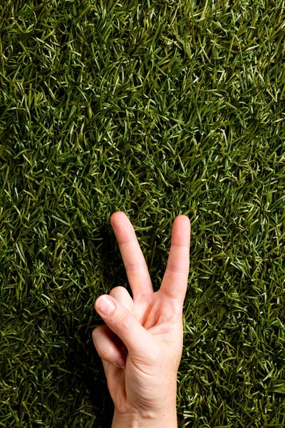 草の上にコピースペースを持つ平和サインを示す白人女性の手を閉じてください 平和と反戦運動の概念 — ストック写真