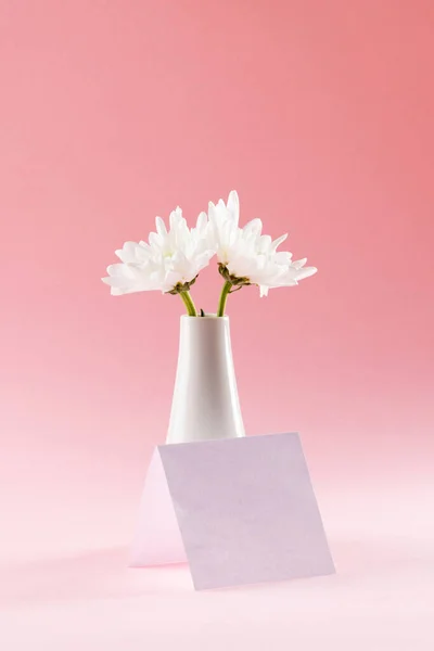 Beyaz Vazodaki Beyaz Çiçekler Pembe Arka Planda Kopya Alanı Olan — Stok fotoğraf