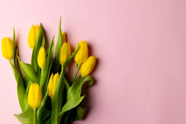 Image Yellow Tulips Copy Space Pink Background Mothers Day Nature — Foto de Stock
