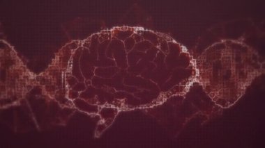 Kırmızı arka planda dijital beyin ve DNA iplikçiklerinin canlandırılması. Küresel bilim ve dijital arayüz kavramı dijital olarak oluşturulmuş video.