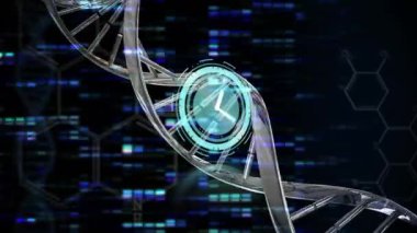 Tikleyen saatin animasyonu, DNA yapısı, veri işleme ve mavi arkaplanda mozaik kareler. Tıbbi araştırma ve iş teknolojisi kavramı