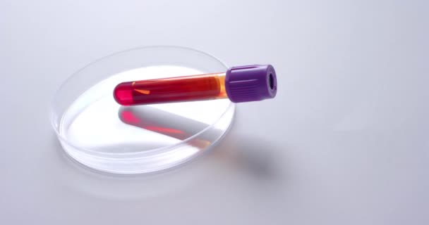 Close Amostra Sangue Placa Petri Fundo Branco Com Espaço Cópia — Vídeo de Stock