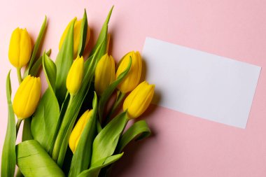 Image of yellow tulips and card with copy space on pink background. Mothers day, nature and spring concept.