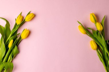 Image of yellow tulips with copy space on pink background. Mothers day, nature and spring concept.
