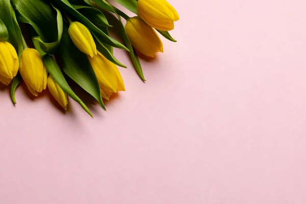 Image Yellow Tulips Copy Space Pink Background Mothers Day Nature — Stock fotografie