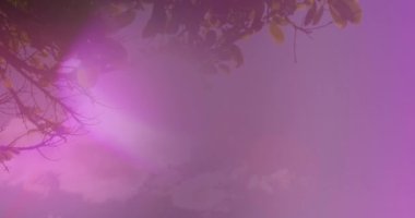 Afrika kökenli Amerikalı çiftlerin deniz kenarında öpüşmeleri üzerine ışık noktaları. Sosyal medya, boş zaman ve tatil konsepti dijital olarak oluşturulmuş video.