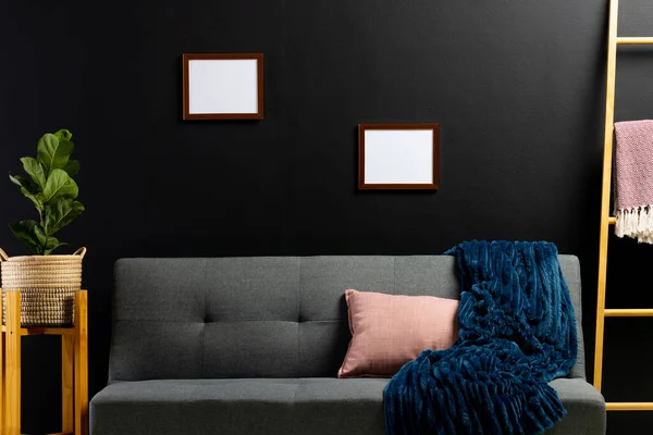 Brown Empty Frames Copy Space Plant Black Wall Room Couch — Stock Photo, Image