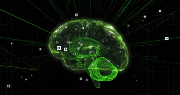 Composição Rede Conexões Processamento Dados Sobre Cérebro Digital Sobre Fundo — Fotografia de Stock