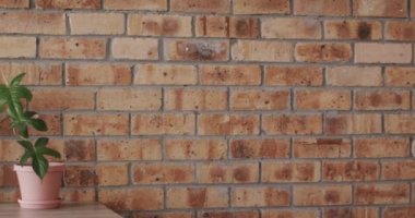 Beyaz zemin üzerinde kopya alanı olan tahta çerçeve ve tuğla duvara dayalı bitki. Çerçeve, ev dekorasyonu ve iç tasarım konsepti.