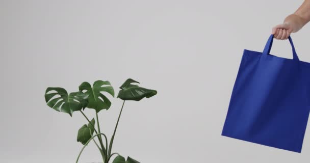 白地に植物と青い袋を保持白人女性の手 コピースペース スローモーション ファッション デザイン ファブリック — ストック動画