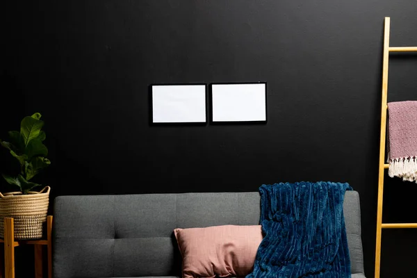 Black Empty Frames Copy Space Plant Black Wall Room Couch — Stock Photo, Image
