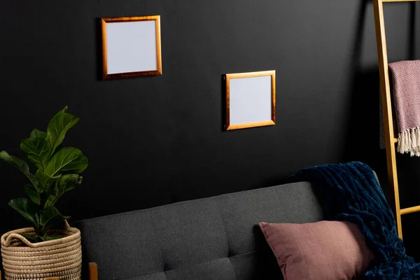 Brown Empty Frames Copy Space Plant Black Wall Room Couch — Stock Photo, Image