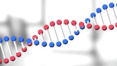 Boş ofise karşı dönen DNA yapısının animasyonu. Tıbbi araştırma bilimi ve iş teknolojisi kavramı