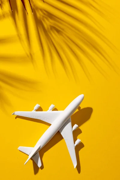 コピースペースと黄色の背景に葉の影を持つ飛行機モデルの閉鎖 — ストック写真