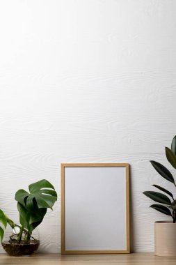 Fotokopi alanı olan boş ahşap çerçeve ve beyaz duvara karşı saksıda bitkiler. Çerçeve şablonu, iç tasarım ve dekorasyonu düzenle.