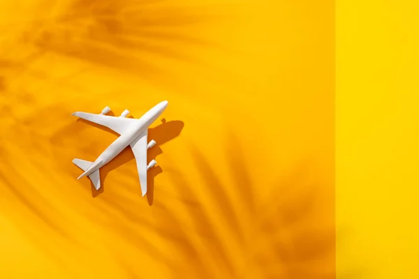 コピースペースと黄色の背景に葉の影を持つ飛行機モデルの閉鎖 — ストック写真