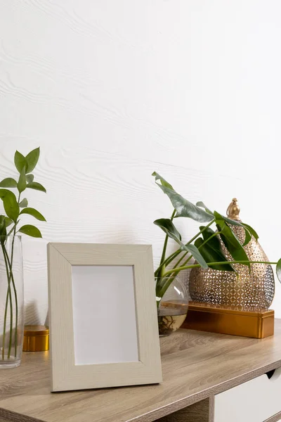 Vertikal Von Leerem Holzrahmen Mit Kopierraum Regal Und Pflanzen Töpfen — Stockfoto