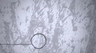 Beyaz arka planda kadın bisikletçi ve şekillerin çizimi. Küresel spor ve soyut arkaplan kavramı dijital olarak oluşturulmuş video.