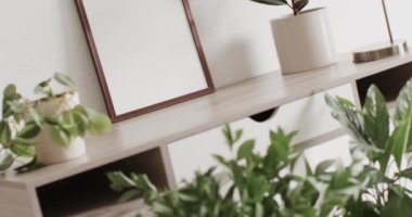 Beyaz zemin üzerinde kopya alanı olan ahşap çerçeve. Masasında beyaz duvarlar olan bitkiler. Çerçeve, ev dekorasyonu ve iç tasarım konsepti.