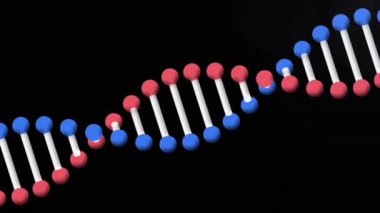 Siyah arka plandaki ışık yollarının üzerindeki DNA iplikçiklerinin animasyonu. Bilim, tıp ve dijital arayüz kavramı dijital olarak oluşturulmuş video.