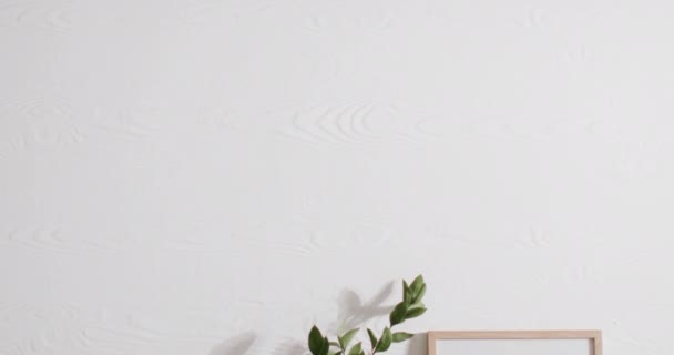 白い壁に植物と白い背景にコピースペースと木製のフレーム フレーム 家の装飾とインテリアデザインのコンセプト — ストック動画