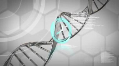 Neon saat animasyonu ve gri arka planda dönen DNA ve kimyasal yapılar. Tıbbi araştırma ve bilim teknolojisi kavramı