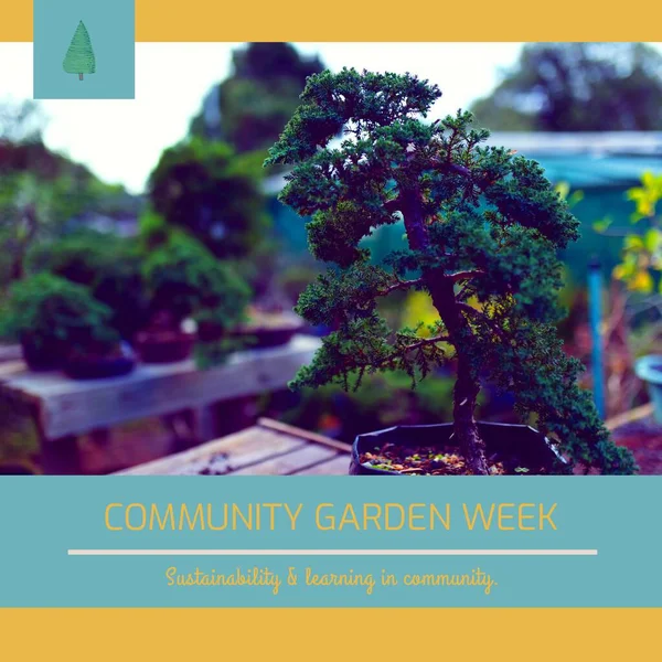 Composition of community garden week text over bonzai tree. Community garden week, gardening and leisure time concept digitally generated image.