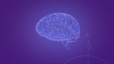 İnsan beyninin animasyonu ve matematiksel veri işleme. Bilim, araştırma, öğrenme, hesaplama ve veri işleme kavramı dijital olarak oluşturulmuş video.