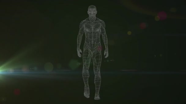 Animação Corpo Humano Ondulado Formado Com Partículas Sobre Fogos Artifício — Vídeo de Stock