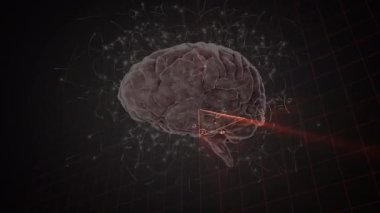 İnsan beyninin animasyonu ve matematiksel veri işleme. Bilim, araştırma, öğrenme, hesaplama ve veri işleme kavramı dijital olarak oluşturulmuş video.