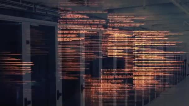 在服务器机房的背景下 动画化的计算机语言 数字合成 多重曝光 机器学习 技术和网络服务器概念 — 图库视频影像