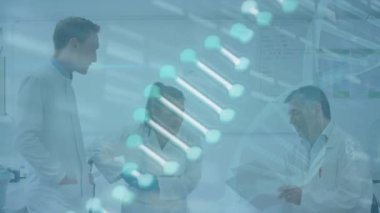 Laboratuvarda raporları tartışan çeşitli bilim adamları üzerinde DNA sarmalı ve çubukların animasyonu. Dijital bileşik, çoklu maruz kalma, anatomi, molekül, takım çalışması, tıbbi, sağlık, teknoloji konsepti.