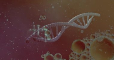DNA ipliği üzerinde köpüklerin canlandırılması ve mor arka planda kimyasal formül. Bilim, tıp ve dijital arayüz kavramı dijital olarak oluşturulmuş video.