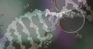 Bulanık arka planda DNA ipliği üzerinde baloncukların canlandırılması. Bilim, tıp ve dijital arayüz kavramı dijital olarak oluşturulmuş video.