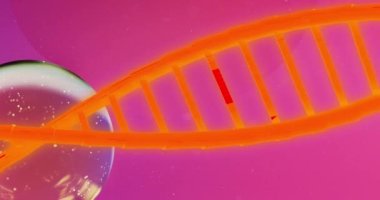 Mor arka planda baloncukların ve DNA ipliklerinin canlandırılması. Bilim, tıp ve dijital arayüz kavramı dijital olarak oluşturulmuş video.