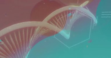 Mavi zemin üzerinde DNA ipliği ve kimyasal formül üzerinde baloncuk animasyonu. Bilim, tıp ve dijital arayüz kavramı dijital olarak oluşturulmuş video.