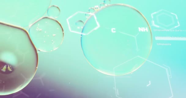 Анимация Химической Формулы Над Пузырями Голубом Фоне Наука Медицина Концепция — стоковое видео