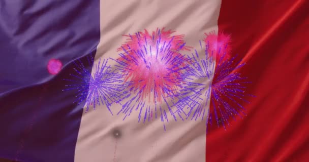 Animazione Bandiera Francia Sopra Fuochi Artificio Che Esplodono Giorno Bastiglia — Video Stock