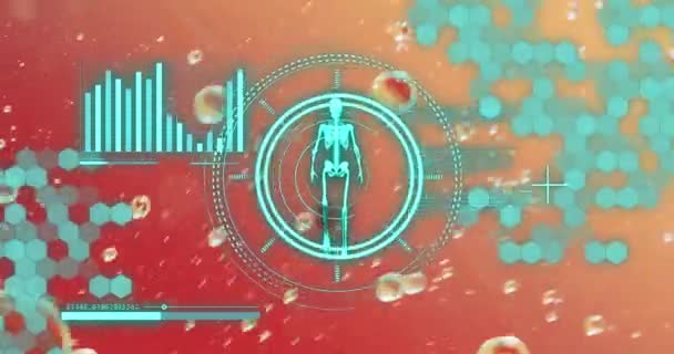 Анимирование Обработки Данных Человеческим Скелетом Над Пузырями Красном Фоне Наука — стоковое видео