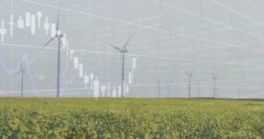 Rüzgar türbinleri üzerinde finansal veri işleme animasyonu. Küresel rüzgar enerjisi, çevre, iş, hesaplama ve veri işleme kavramı dijital olarak oluşturulmuş video.