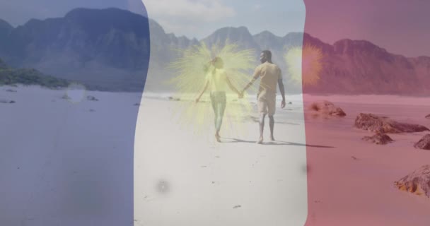 Animation Von Frankreich Flagge Und Feuerwerk Über Einem Glücklichen Paar — Stockvideo