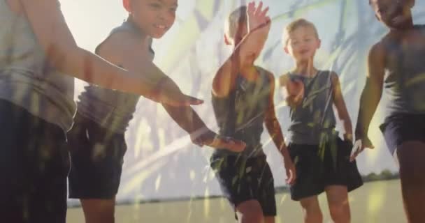 Animation Sun Grasses Happy Diverse Schoolchildren Stacking Hands Outdoor Sport — Stock Video