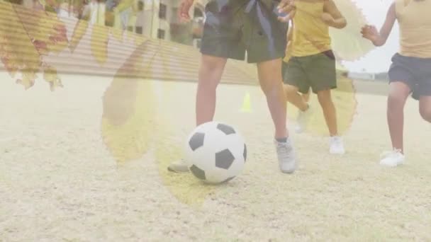 Animáció Levelek Napfény Felett Lábak Különböző Iskolás Lányok Focizás Sportpályán — Stock videók