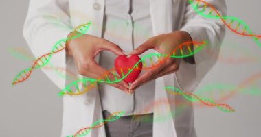 Çift ırklı kalp doktoru üzerinde DNA iplikçiklerinin canlandırılması. Küresel tıp ve dijital arayüz kavramı dijital olarak oluşturulmuş video.