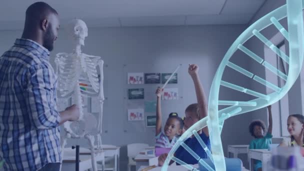 Animation Brin Adn Sur Enseignant Souriant Afro Américain Montrant Squelette — Video