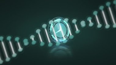 Gri arka planda DNA ipliği üzerinde hareket eden saatin animasyonu. Küresel bilim ve dijital arayüz kavramı dijital olarak oluşturulmuş video.