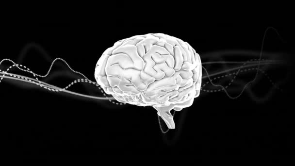 黒の背景でデータ処理上のデジタル脳のアニメーション グローバル科学とデジタルインターフェースの概念デジタル生成されたビデオ — ストック動画
