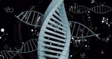 DNA sarmallarının, yüzen nükleotitlerin ve çizgilerin dairesel hareketlerinin animasyonu. Dijital olarak üretilmiş, hologram, illüstrasyon, anatomi, tıbbi, sağlık ve teknoloji konsepti.