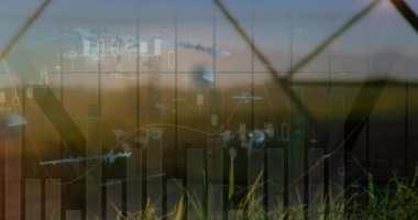 Çayır üzerindeki şebeke kuleleriyle istatistiksel veri işleme animasyonu. Küresel ağ ve iş veri teknolojisi kavramı