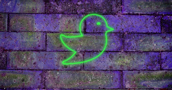 Tuğla Duvardaki Yeşil Neon Kuş Simgesinin Bileşimi Sosyal Medya Iletişim — Stok fotoğraf